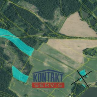 Prodej lesa 43683 m² Střížovice