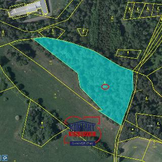 Prodej lesa 6280 m² Vlčatín