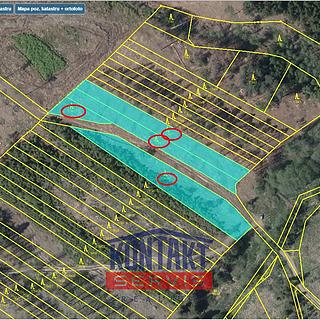 Prodej lesa 5000 m&sup2; Dlouhá Brtnice