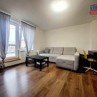 Pronájem bytu 2+1 63 m&sup2; České Budějovice