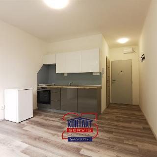 Pronájem bytu 1+kk a garsoniéry 21 m² České Budějovice, Plzeňská