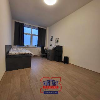 Pronájem pokoje 18 m² České Budějovice, U Smaltovny