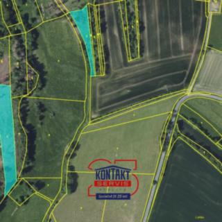 Prodej lesa 38 239 m² Pravonín Tisek