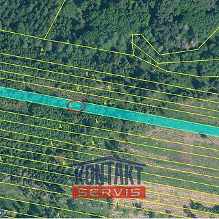 Prodej lesa 32955 m&sup2; Jickovice