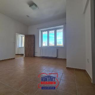 Pronájem bytu 2+kk 33 m² České Budějovice, 