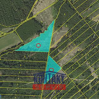 Prodej lesa 70821 m&sup2; Jevíčko
