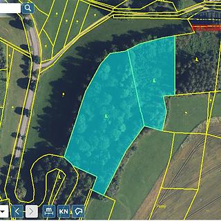 Prodej lesa 15596 m&sup2; Libecina