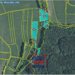 Prodej lesa 9 921 m² Slušovice, 