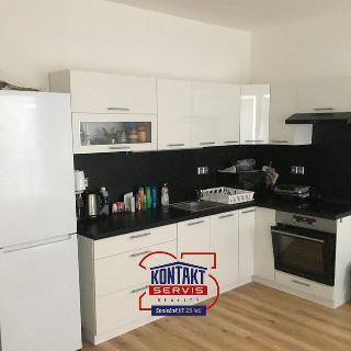 Pronájem bytu 1+kk a garsoniéry 40 m² České Budějovice, 