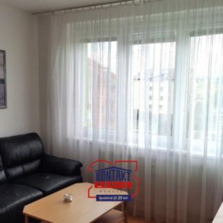 Pronájem bytu 1+1 33 m² České Budějovice, Dubenská