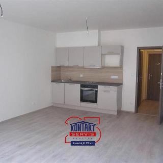 Pronájem bytu 1+kk a garsoniéry 35 m² České Budějovice, 