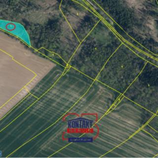 Prodej lesa 5 589 m² Bukovno, 