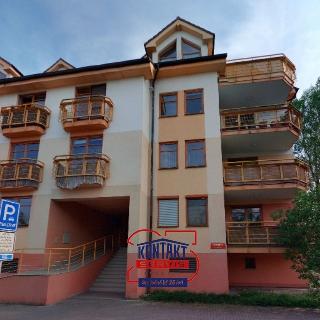 Pronájem bytu 1+kk a garsoniéry 35 m² České Budějovice, 