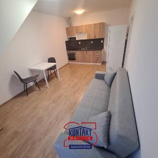 Pronájem bytu 2+kk 49 m² České Budějovice, B. Smetany