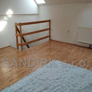 Pronájem bytu 1+1 50 m² Staňkov, Družstevní