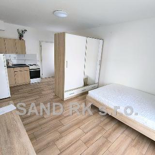 Pronájem bytu 1+kk a garsoniéry 32 m² Blížejov