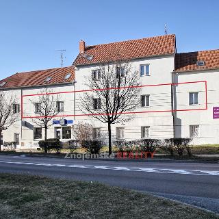 Pronájem kanceláře 129 m² Znojmo, Sokolská