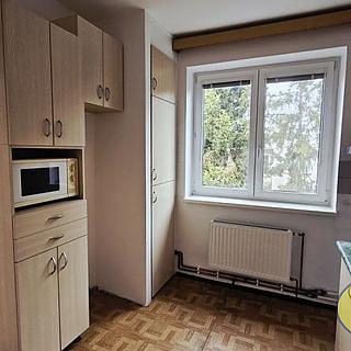Pronájem bytu 3+1 79 m² Zdounky