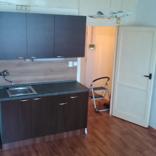 Pronájem bytu 1+kk a garsoniéry 22 m² České Budějovice, Pekárenská