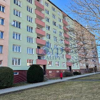 Prodej bytu 2+1 59 m² Ostrov, Jungmannova