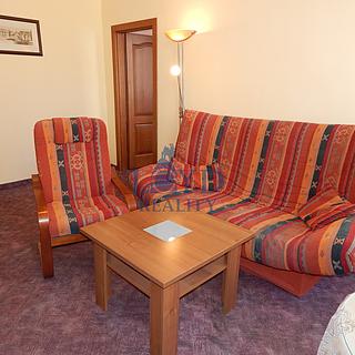Pronájem bytu 1+1 40 m&sup2; Karlovy Vary