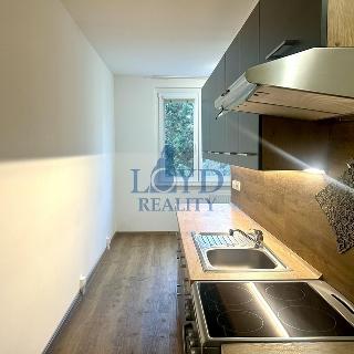 Pronájem bytu 2+1 60 m² Karlovy Vary, Jahodová