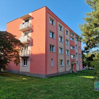 Prodej bytu 2+1 53 m² Plzeň, Ke Kukačce