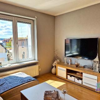 Prodej bytu 1+kk a garsoniéry 57 m² Tachov, Fügnerova