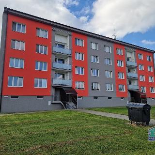 Prodej bytu 3+1 62 m² Černošín, Javorová