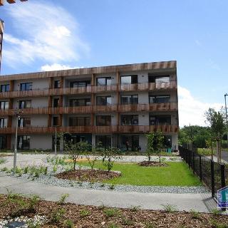 Pronájem bytu 1+kk a garsoniéry 29 m² Plzeň, Kartónová