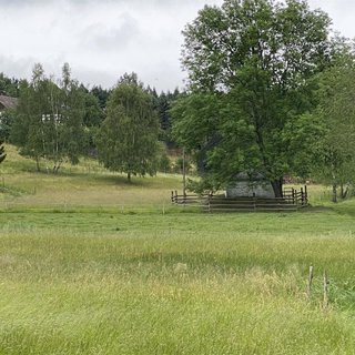 Prodej louky 4 190 m² Děčín