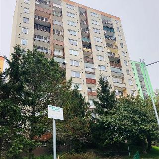 Pronájem bytu 1+1 40 m² Děčín, Dvořákova