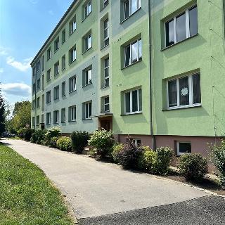 Pronájem bytu 1+1 33 m² Děčín, Přímá