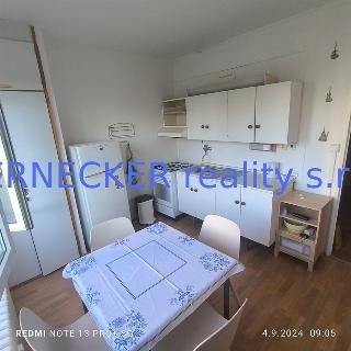 Pronájem bytu 1+1 41 m² Hradec Králové