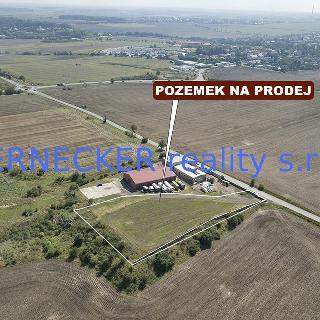 Prodej komerčního pozemku 6 269 m² Bašť