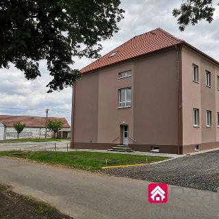 Prodej bytu 1+kk a garsoniéry 27 m² Miroslav, 