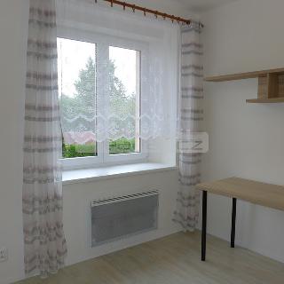 Pronájem bytu 1+kk a garsoniéry 30 m² Plzeň, Na Jíkalce