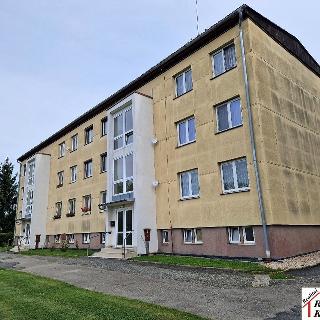 Pronájem bytu 3+1 72 m² Malešov