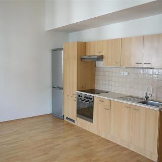 Pronájem bytu 2+kk 57 m² Praha, V zahradách