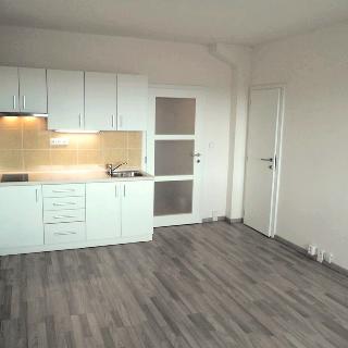 Pronájem bytu 1+kk a garsoniéry 30 m² Praha, Pod lysinami