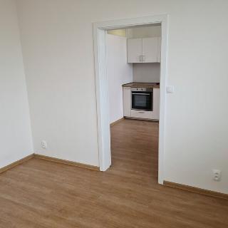 Pronájem bytu 1+1 34 m² Břeclav, J. Palacha