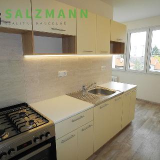 Pronájem bytu 2+1 59 m² Plzeň, Staniční