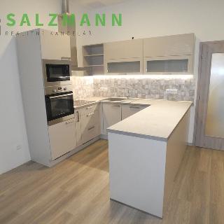 Pronájem bytu 3+kk 79 m² Plzeň, Rokycanská