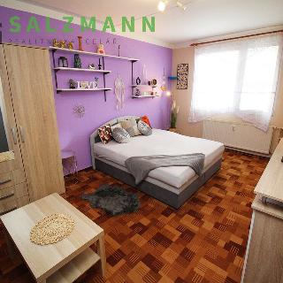 Pronájem bytu 1+1 43 m² Plzeň, Tachovská