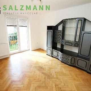 Pronájem bytu 2+1 52 m² Plzeň, Arbesova