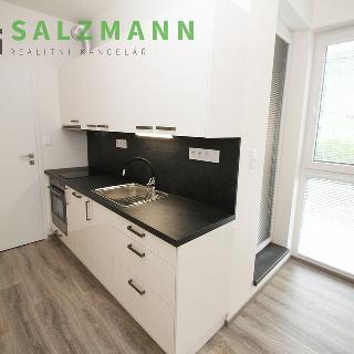 Pronájem bytu 1+kk a garsoniéry 32 m² Plzeň, Goldscheiderova