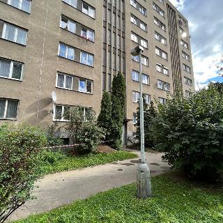 Pronájem bytu 4+kk 70 m² Praha, Hlavní