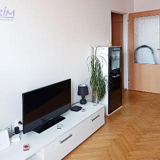 Pronájem bytu 2+1 56 m² Opava, Horní náměstí