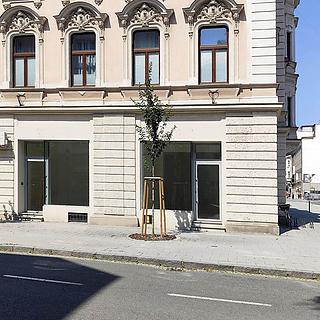 Pronájem obchodu 104 m&sup2; Opava