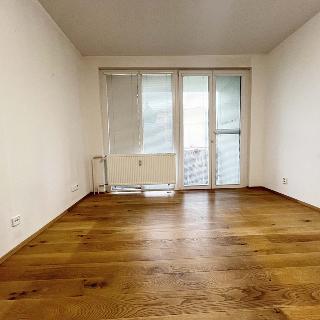 Pronájem bytu 1+kk a garsoniéry 24 m² Strakonice